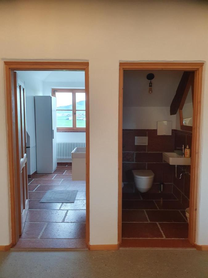 Gutshof Seenland Apartment Seekirchen am Wallersee Exterior foto